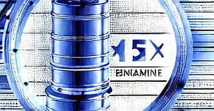 Khi tỷ phú mất 250 tỷ: Dữ liệu on-chain hé lộ 'bong bóng ngôi sao' trong Crypto